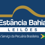 ESTANCIA BAHIA LEILÕES